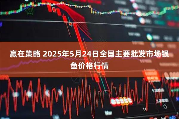 赢在策略 2025年5月24日全国主要批发市场银鱼价格行情