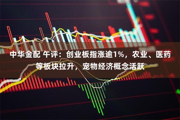 中华金配 午评：创业板指涨逾1%，农业、医药等板块拉升，宠物经济概念活跃