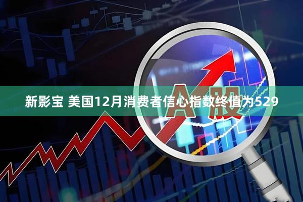 新影宝 美国12月消费者信心指数终值为529