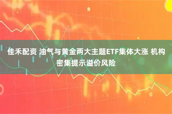 佳禾配资 油气与黄金两大主题ETF集体大涨 机构密集提示溢价风险