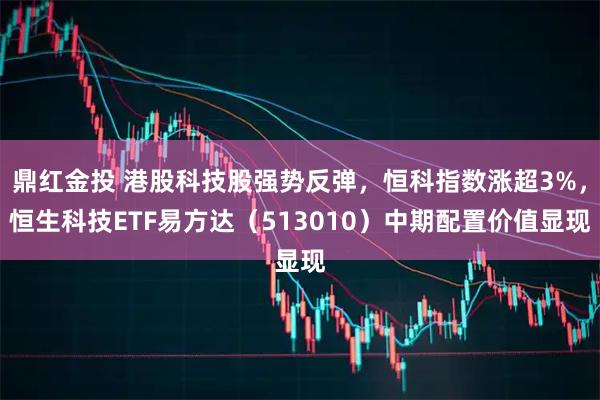 鼎红金投 港股科技股强势反弹，恒科指数涨超3%，恒生科技ETF易方达（513010）中期配置价值显现